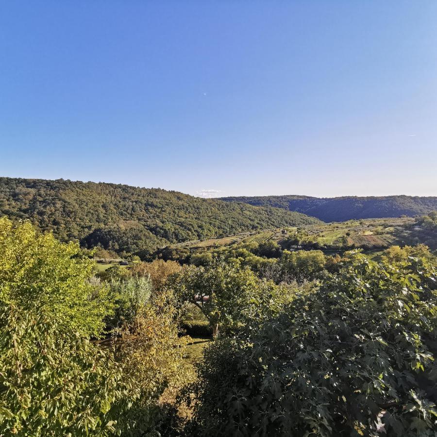 Apartmán Apartma Zan Šmarje Exteriér fotografie